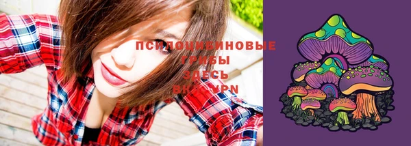 не бодяженный Алексин